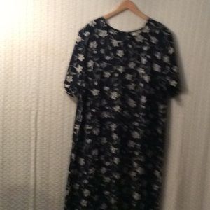 Kathie Lee: Women’s Dress Plus Size 22W